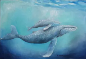 Whales and Dolphins